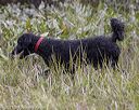 20210808-jhw-1117
