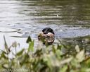 20210808-jhw-1895