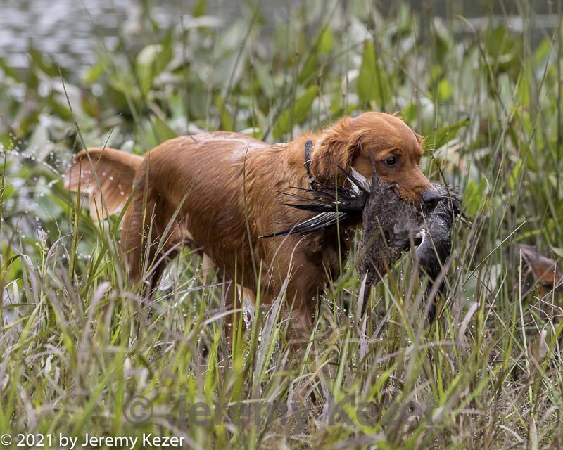 20210808-jhw-0117.jpg