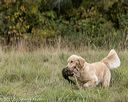 20211009-wcl-0219