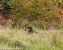 20211009-wcxl-0082