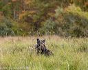 20211009-wcxl-0119