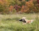20211009-wcxl-0406