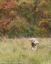 20211009-wcxl-0460