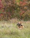 20211009-wcxl-0550
