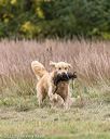 20211009-wcxl-0627