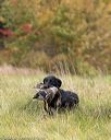 20211009-wcxl-0677