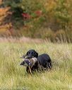 20211009-wcxl-0682