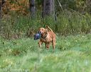 20211010-pw-0301