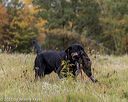 20211010-wcl-0249