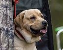 20211010-wcl-0471