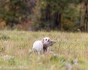 20211010-wcl-0967
