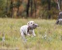 20211010-wcl-0970