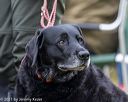 20211010-wcl-1038