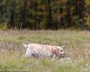 20211010-wcl-1105