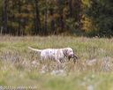 20211010-wcl-1153