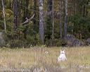 20211010-wcl-1218