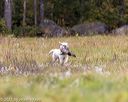 20211010-wcl-1247