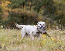 20211010-wcl-1294