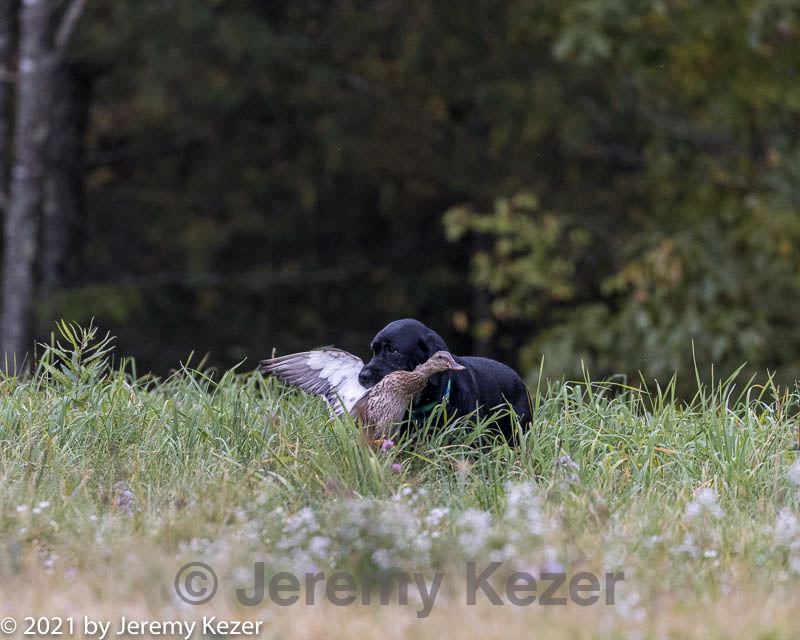 20211010-wcl-0128.jpg