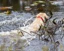 20211010-wcw-0280