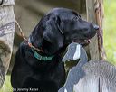 20220604-shl-0009