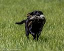 20220604-shl-0015
