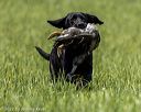 20220604-shl-0032