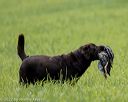 20220604-shl-0083