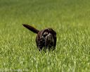 20220604-shl-0102