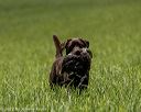 20220604-shl-0107