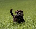 20220604-shl-0110