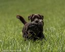 20220604-shl-0113