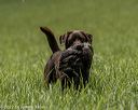 20220604-shl-0117