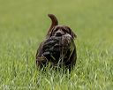20220604-shl-0126