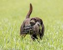 20220604-shl-0128