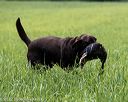 20220604-shl-0141