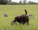 20220604-shl-0151