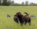 20220604-shl-0154