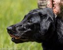 20220604-shl-0191