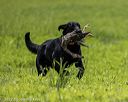 20220604-shl-0217