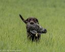 20220604-shl-0265