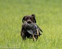 20220604-shl-0275