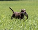 20220604-shl-0302