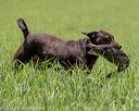 20220604-shl-0320