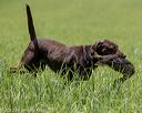 20220604-shl-0321