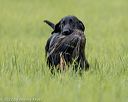 20220604-shl-0349