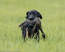20220604-shl-0350