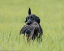 20220604-shl-0357