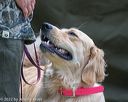 20220604-shl-0402
